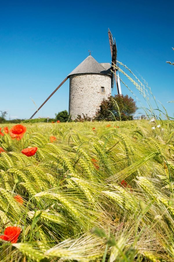 france-the-moidrey-windmill-in-pontorson-in-normandie